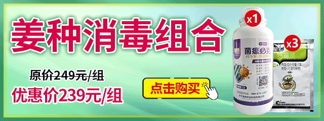 姜種消毒組合