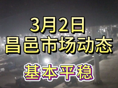 3月2日 昌邑生姜交易實(shí)況（基本平穩(wěn)） (191播放)