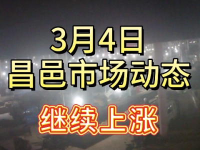 3月4日 昌邑生姜交易實(shí)況（繼續(xù)上漲） (84播放)