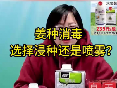 姜種消毒選擇浸種還是噴霧？ (94播放)