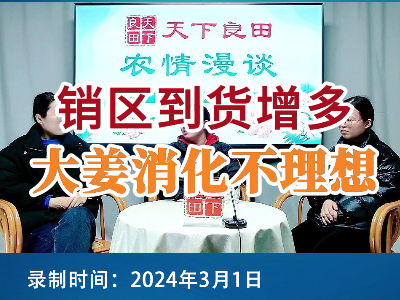 銷區到貨增多，大姜消化不理想 (102播放)