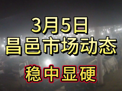 3月5日 昌邑生姜交易實(shí)況（穩(wěn)中顯硬） (105播放)