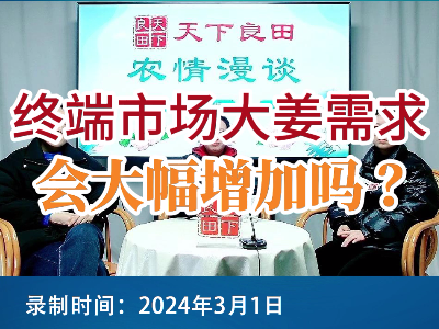 終端市場大姜需求會大幅增加嗎？ (104播放)