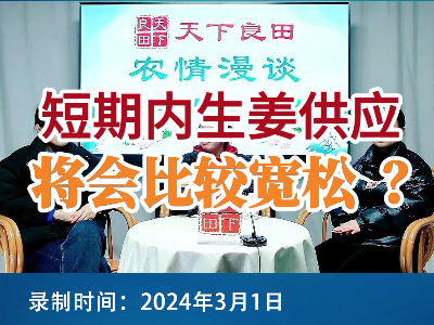 短期內生姜供應將會比較寬松？ ()