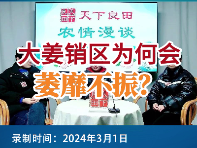 大姜銷區為何會萎靡不振？ (92播放)