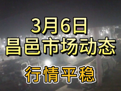 3月6日 昌邑生姜交易實況（行情平穩） (103播放)