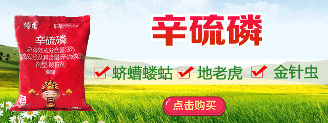 辛硫磷640-240(1)