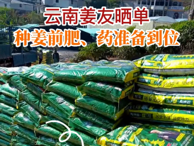 云南姜友種姜前的肥藥準(zhǔn)備到位 (168播放)