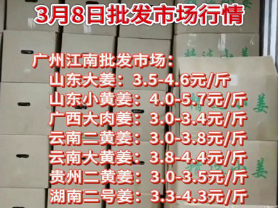 3月8日廣州江南批發市場生姜價格行情 (93播放)