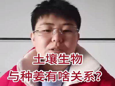 土壤生物與種姜有啥關系？ (119播放)