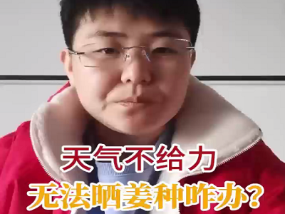 天氣不給力 無法曬姜種咋辦？ (118播放)