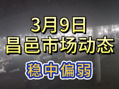 3月9日 昌邑生姜交易實況（穩中偏弱） (144播放)