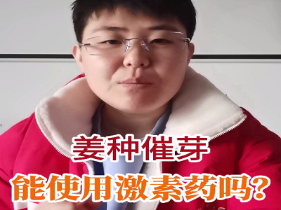姜種催芽能使用激素藥嗎？ (115播放)