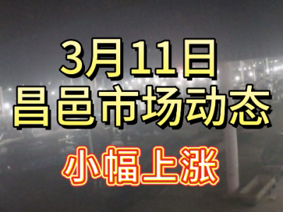3月11日 昌邑生姜交易實況（小幅上漲） (159播放)
