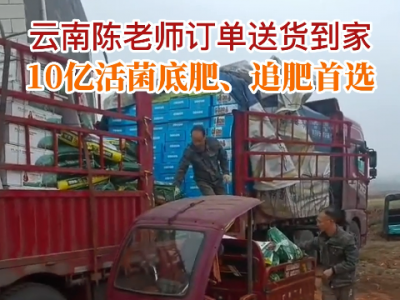 云南陳老師訂單送貨到家 (147播放)