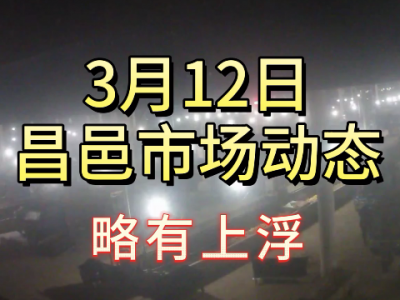3月12日 昌邑生姜交易實況（略有上浮） (170播放)