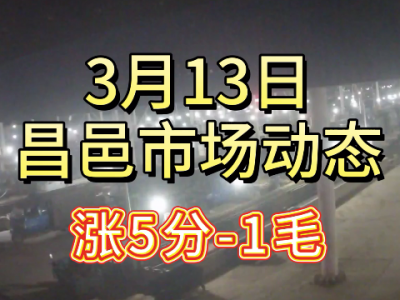 3月13日 昌邑生姜交易實況（漲5分-1毛） (171播放)