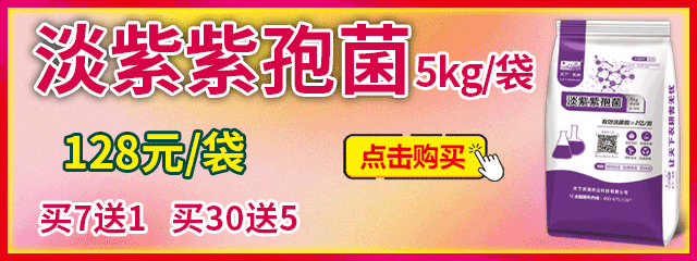 淡紫紫孢菌