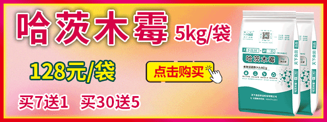 哈茨木霉