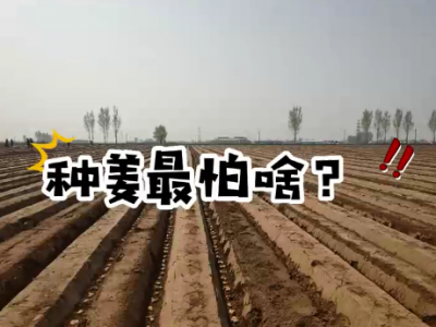 種姜最怕啥？ (198播放)