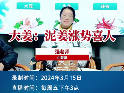 大姜：泥姜漲勢喜人 (174播放)