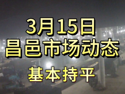 3月15日 昌邑生姜交易實況（基本持平） (199播放)