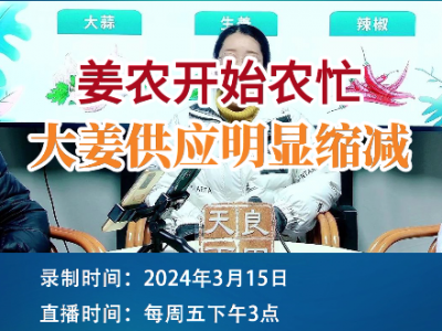 姜農開始農忙，大姜供應明顯縮減！ (93播放)