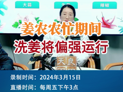 姜農(nóng)農(nóng)忙期間，洗姜將偏強運行 ()