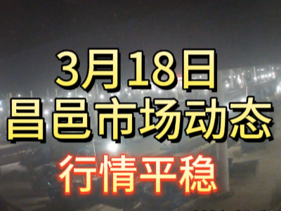 3月18日 琨福市場大姜價格（行情平穩(wěn)） (123播放)