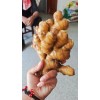 常年大量供應大別山小黃姜