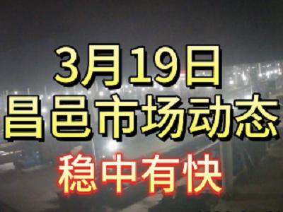 3月19日 琨福市場大姜價格（穩(wěn)中有快） (131播放)