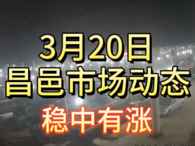 3月20日 琨福市場大姜價格（穩(wěn)中有漲） (143播放)