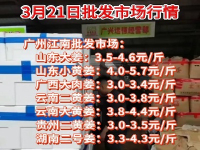 3月21日廣州江南批發市場生姜價格行情 (109播放)
