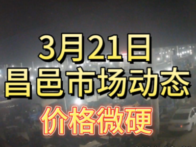 3月21日 琨福市場大姜價格（價格微硬） (162播放)