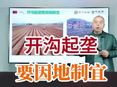 開溝起壟要因地制宜 (110播放)
