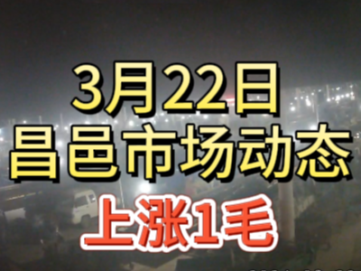 3月22日 琨福市場大姜價格（上漲1毛） (157播放)