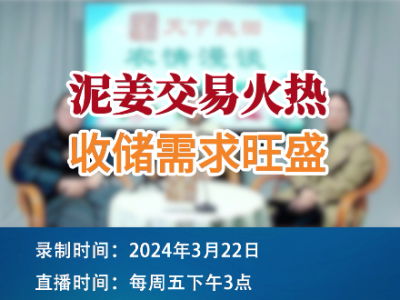 泥姜交易火熱  收儲需求旺盛 ()