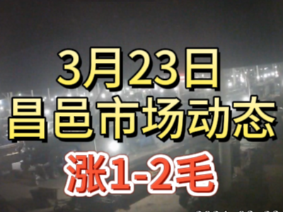 3月23日 琨福市場大姜價格（漲1-2毛） (167播放)