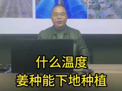 什么溫度，姜種能下地種姜 (135播放)