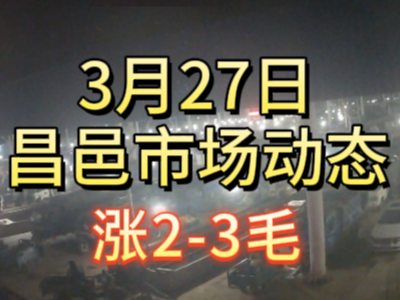 3月27日 琨福市場大姜價格（漲2-3毛） (109播放)