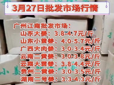 3月27日廣州江南批發市場生姜價格行情 (141播放)
