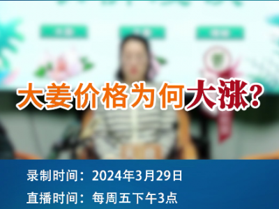 大姜價格為何大漲？ (140播放)