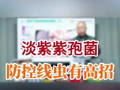 淡紫紫孢菌防控線蟲有高招 ()