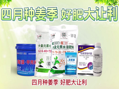 四月種姜季，好肥大讓利！ (135播放)
