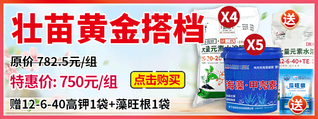 壯苗黃金搭檔