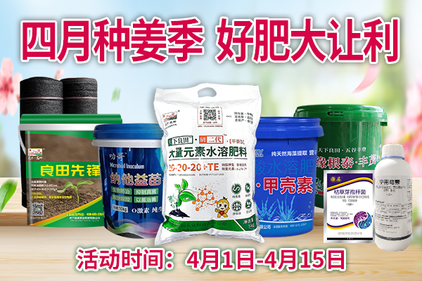 四月種姜季，好肥大讓利 ()