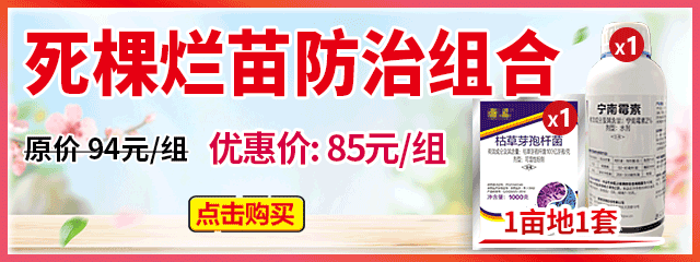 死棵爛苗防治組合