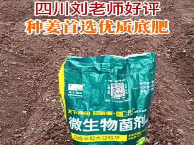 種姜首選優質底肥 (191播放)