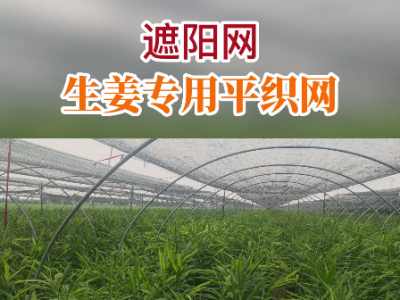 生姜專用遮陽(yáng)網(wǎng) ()