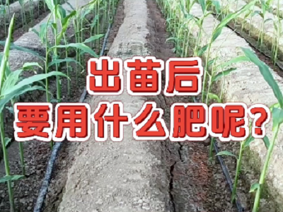 海藻·甲殼素--天然海藻營(yíng)養(yǎng)！ ()